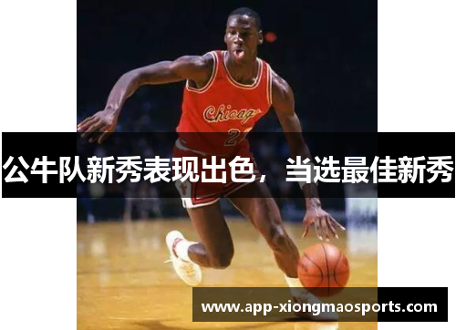 公牛队新秀表现出色，当选最佳新秀