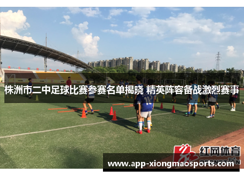 株洲市二中足球比赛参赛名单揭晓 精英阵容备战激烈赛事