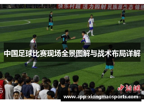 中国足球比赛现场全景图解与战术布局详解