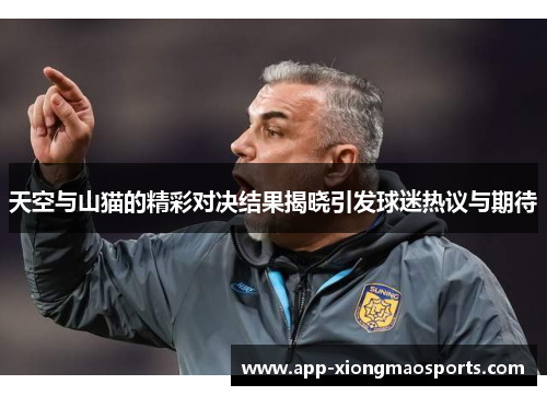 天空与山猫的精彩对决结果揭晓引发球迷热议与期待